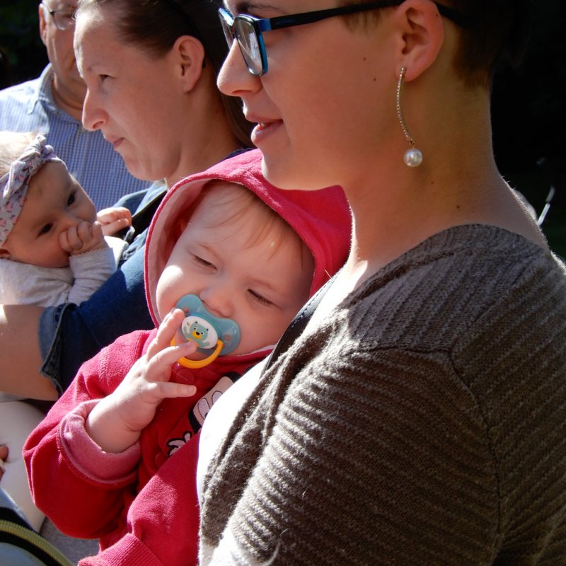 Életfa ültetés a város napján 33